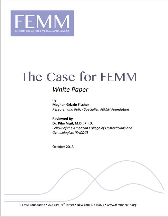 FEMM white paper