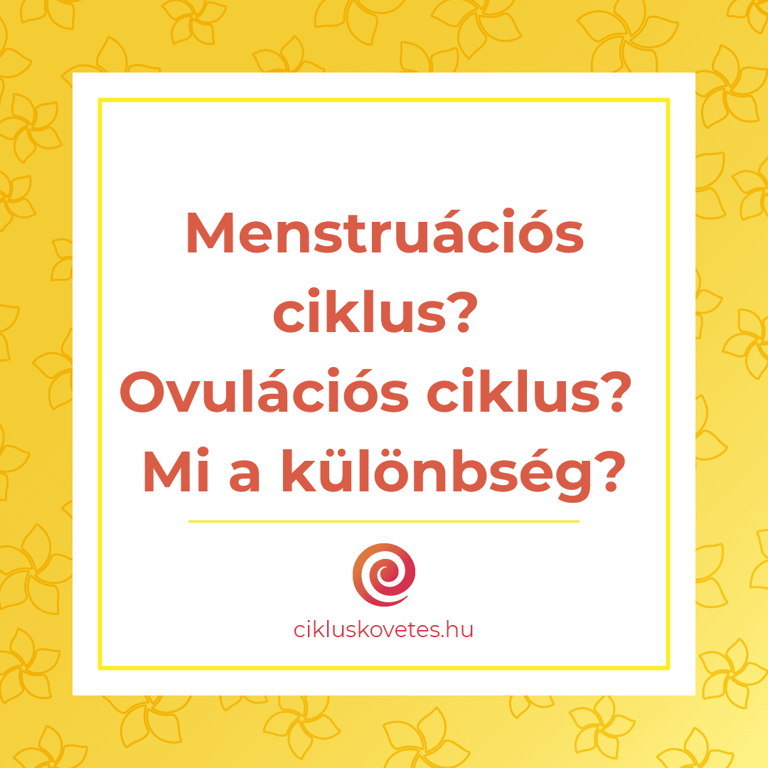 Ovulációs ciklus vagy menstruációs ciklus? Mi a különbség?